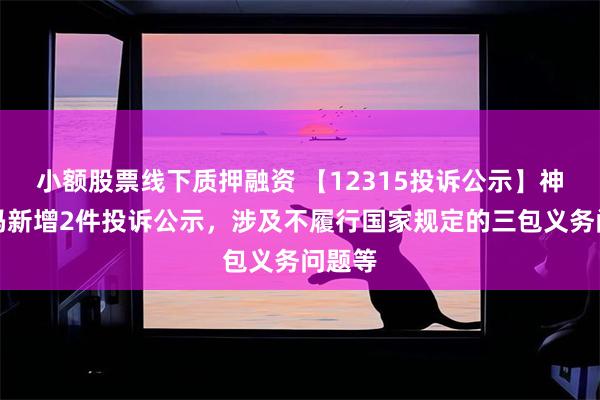 小额股票线下质押融资 【12315投诉公示】神州数码新增2件投诉公示，涉及不履行国家规定的三包义务问题等