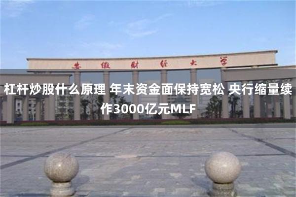 杠杆炒股什么原理 年末资金面保持宽松 央行缩量续作3000亿元MLF