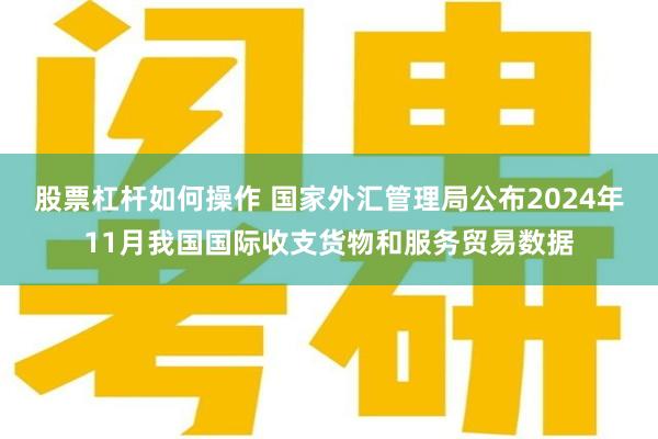 股票杠杆如何操作 国家外汇管理局公布2024年11月我国国际收支货物和服务贸易数据