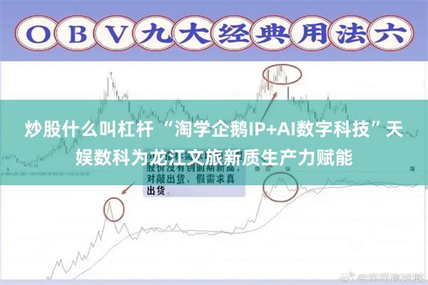 炒股什么叫杠杆 “淘学企鹅IP+AI数字科技”天娱数科为龙江文旅新质生产力赋能