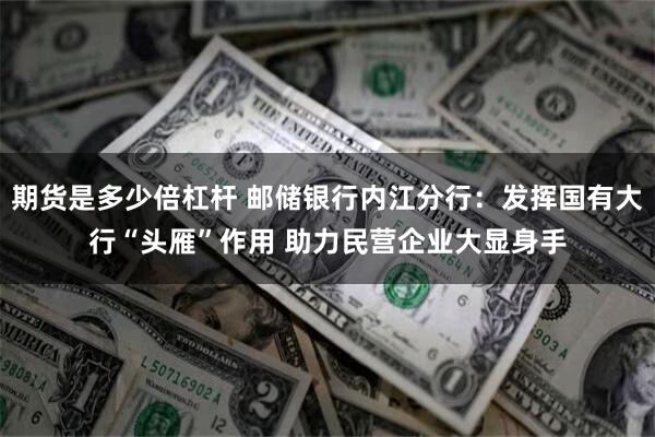 期货是多少倍杠杆 邮储银行内江分行：发挥国有大行“头雁”作用 助力民营企业大显身手