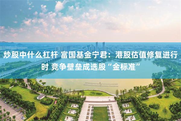 炒股中什么杠杆 富国基金宁君：港股估值修复进行时 竞争壁垒成选股“金标准”